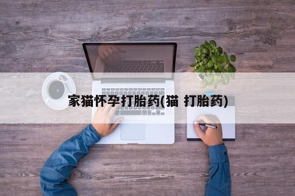 正品打胎药专卖微信家猫怀孕打胎药(猫 打胎药)